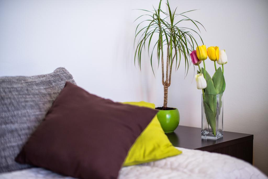 Apartment Dominik Подстрана Экстерьер фото